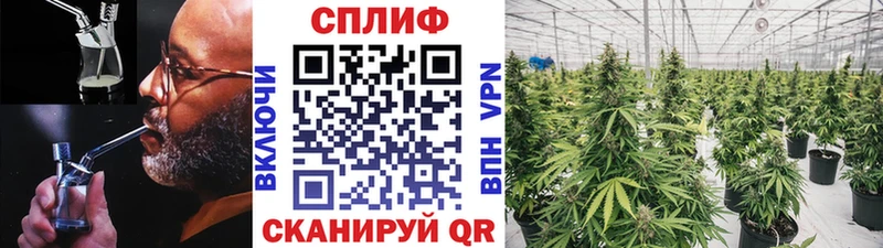 Каннабис VHQ  Северобайкальск 